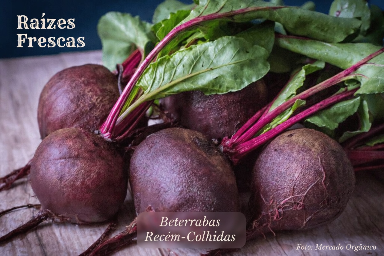 12 alimentos naturais poderosos para incluir na sua rotina diária após os 50 anos