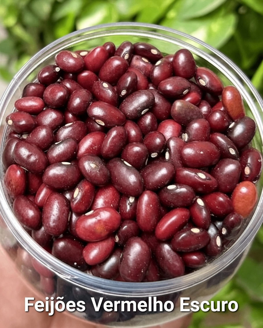 12 alimentos naturais poderosos para incluir na sua rotina diária após os 50 anos