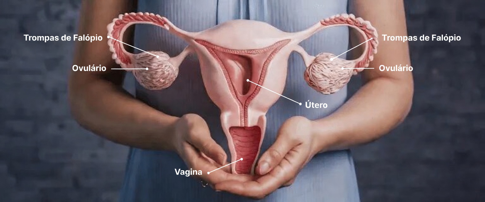 O Que Toda Mulher Deve Saber Sobre a Endometriose: Sintomas, Causas e Dicas Práticas de Estilo de Vida para Dias Melhores