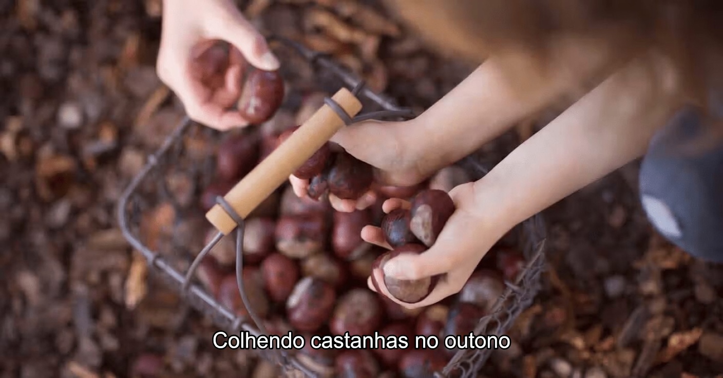 Descubra as 5 Ervas Mais Populares que Ajudam a Manter uma Circulação Saudável nas Pernas e o que Você Deve Saber Primeiro