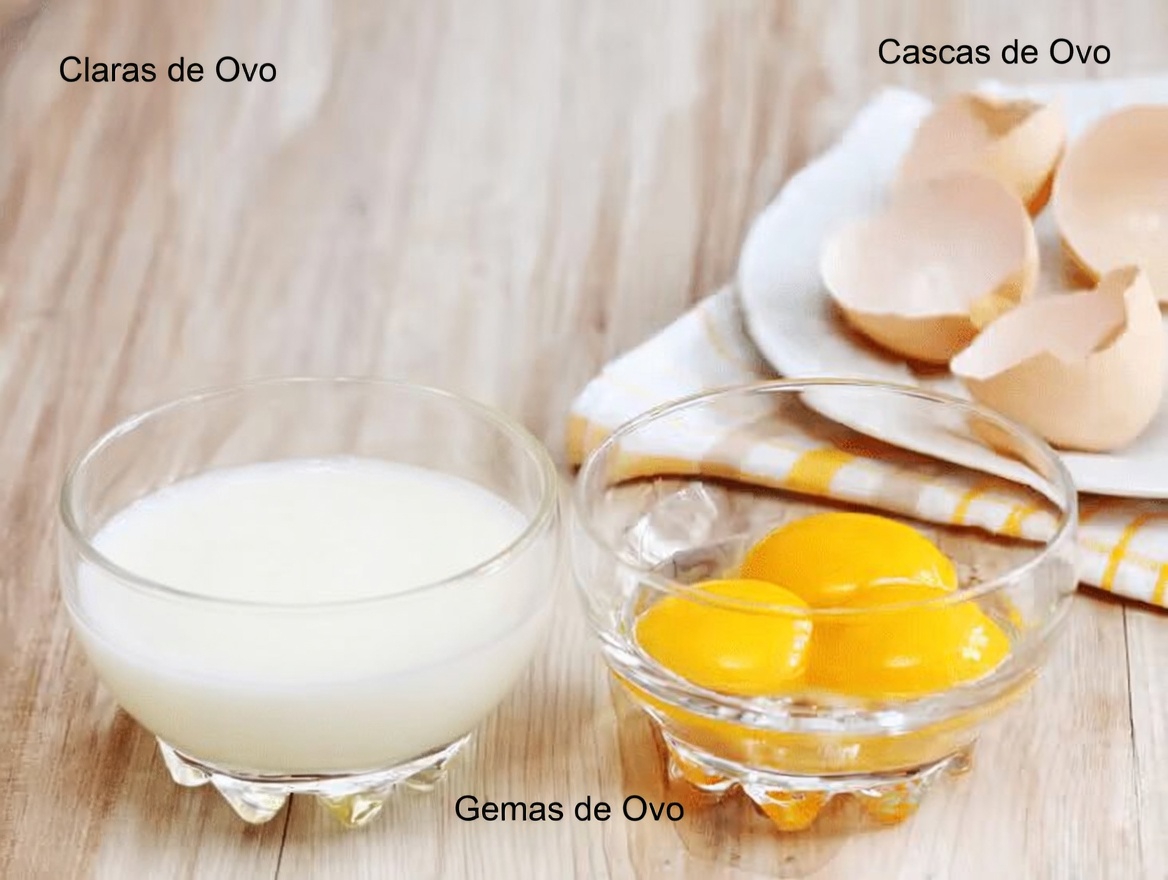 Descubra 4 proteínas benéficas para os rins para incluir na sua dieta e 6 para limitar para uma melhor saúde renal