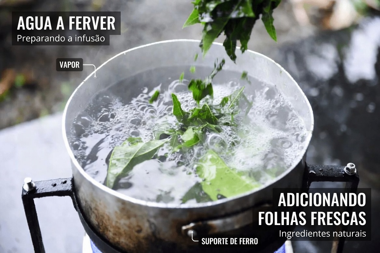 Descubra Como Fazer Chá de Folha de Mamão em Casa: Dicas Simples para Sua Rotina Diária de Bem-Estar