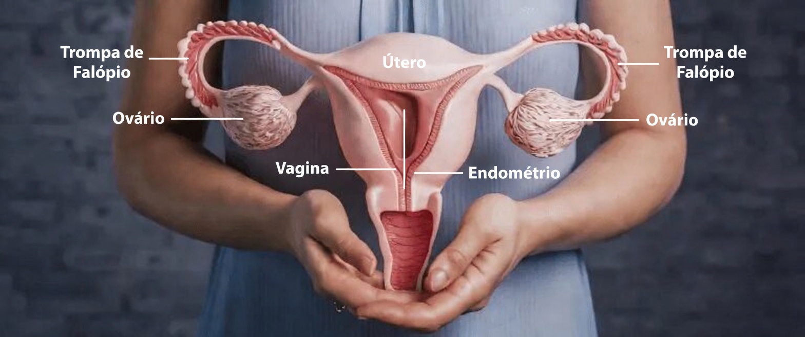 O que toda mulher deve saber sobre a endometriose: sintomas, causas e dicas práticas de estilo de vida para dias melhores