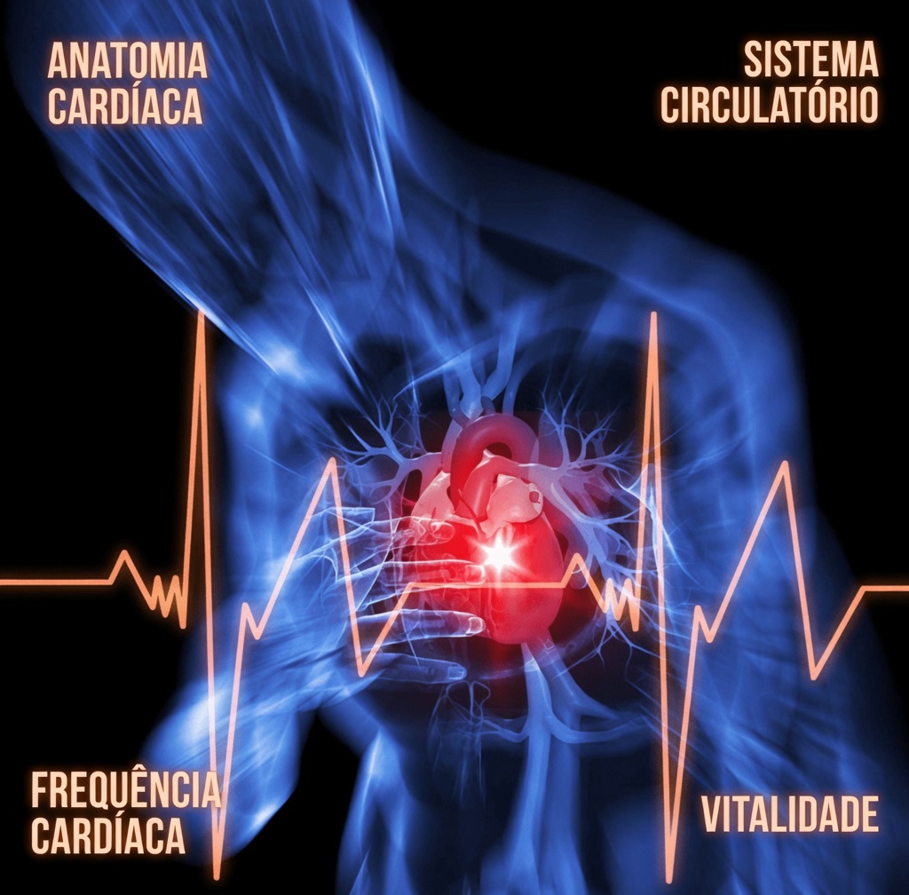Esses hábitos cotidianos para a saúde do coração estão secretamente agindo contra você?