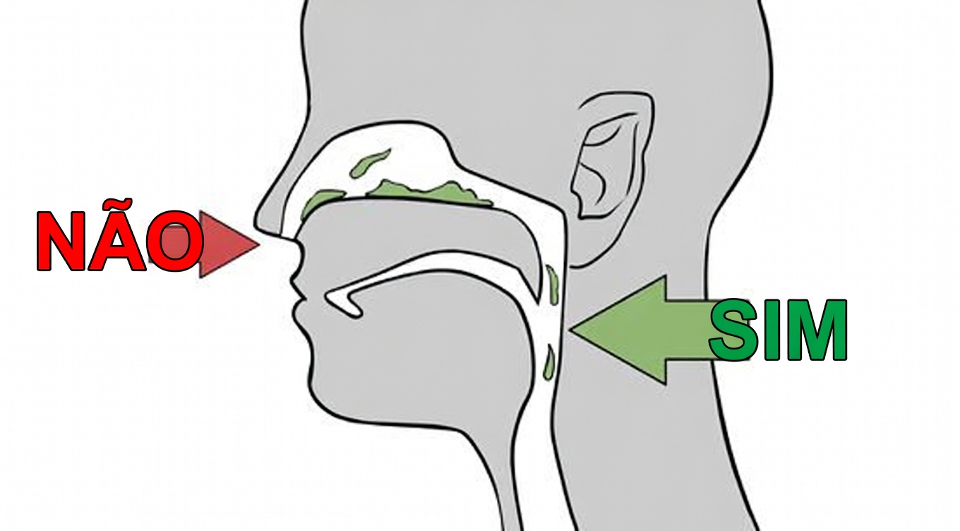 Por que Você Tem Excesso de Catarro na Garganta? Principais Causas e Dicas Caseiras do Dia a Dia para Controlá-lo