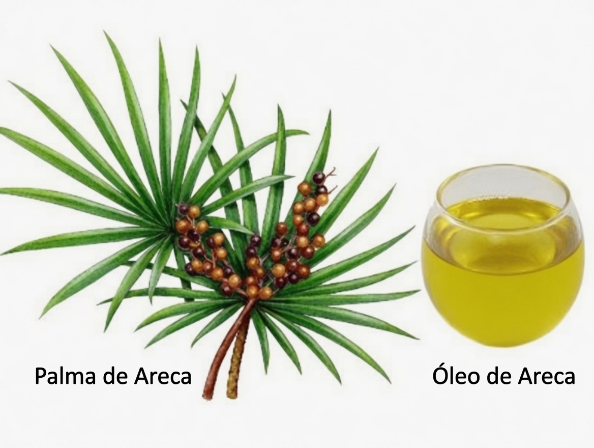 O que você precisa saber sobre uma erva que muitos homens procuram para apoiar a saúde da próstata