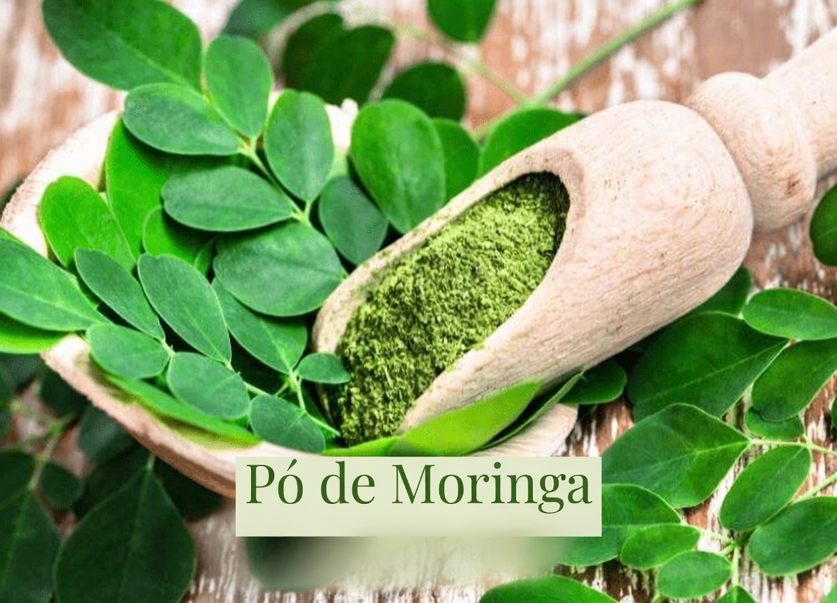 12 benefícios surpreendentes das sementes de moringa e hábitos simples para incorporá-las à sua rotina diária de bem-estar