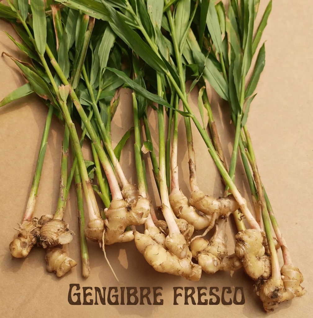 Descubra 5 Ervas Poderosas que Podem Ajudar Naturalmente a Apoiar um Fluxo Sanguíneo Saudável e a Circulação nas Suas Pernas