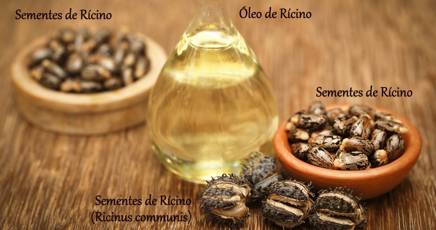 Por que mulheres com mais de 50 anos estão explorando a antiga tradição de 2 gotas de óleo de rícino no mel