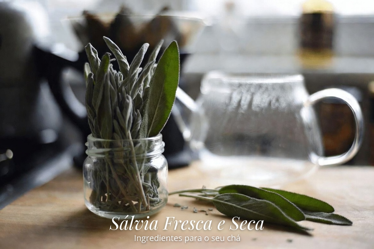 Uma Xícara de Chá de Sálvia Antes de Dormir: Explorando Seu Papel no Apoio a Níveis Saudáveis de Açúcar no Sangue