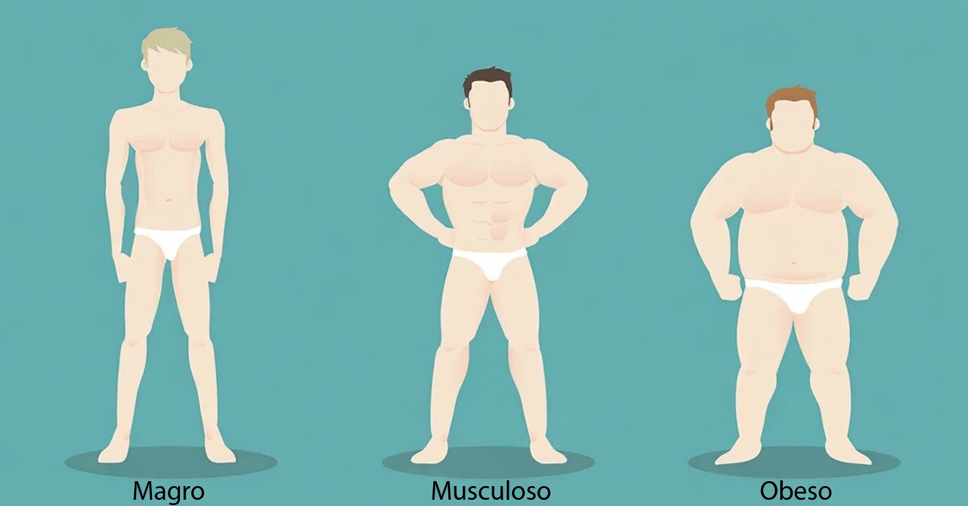 Você é um ectomorfo, mesomorfo ou endomorfo? Descubra seu tipo de corpo e como aproveitá-lo ao máximo