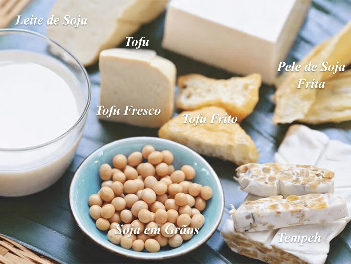 Descubra 8 dicas naturais simples e hábitos diários para apoiar o equilíbrio do seu corpo com o crescimento excessivo de Candida