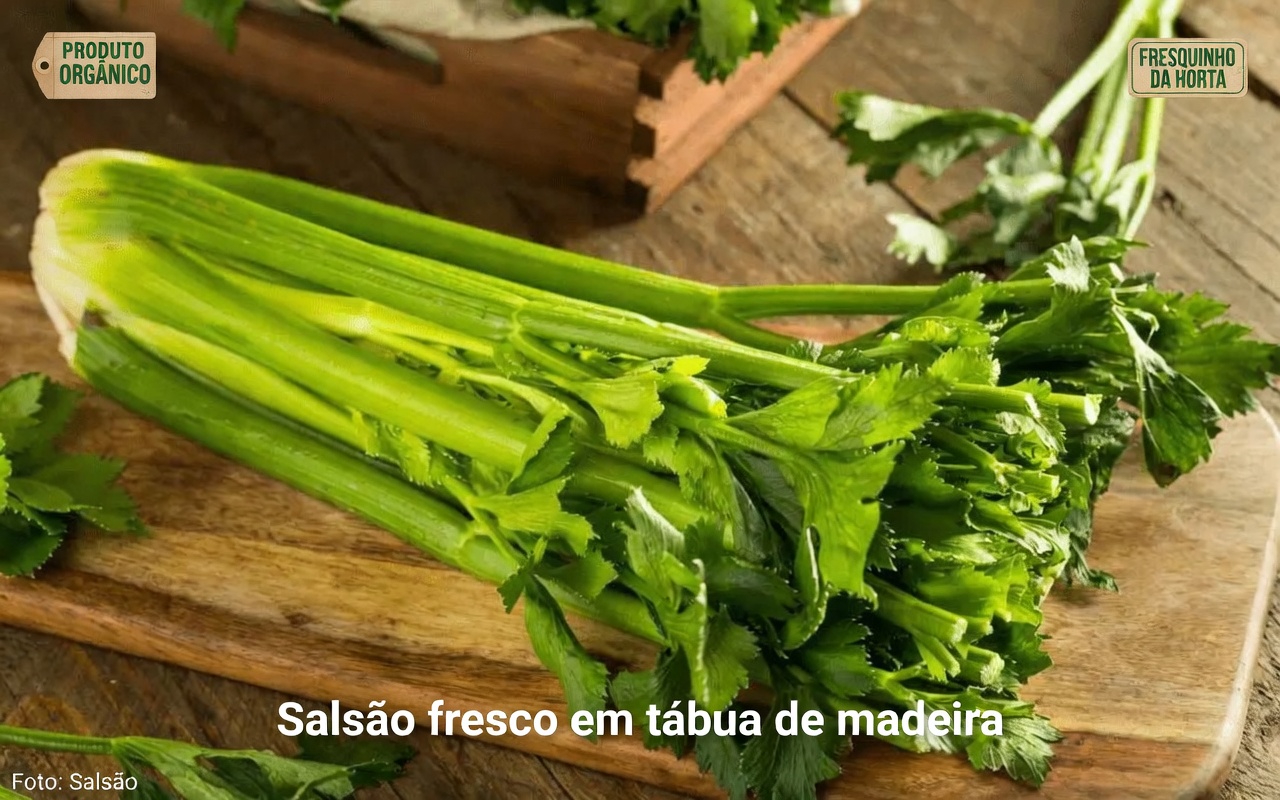 Os 7 superalimentos que o Dr. Norman Walker consumia diariamente em sua famosa rotina de sucos aos 99 anos