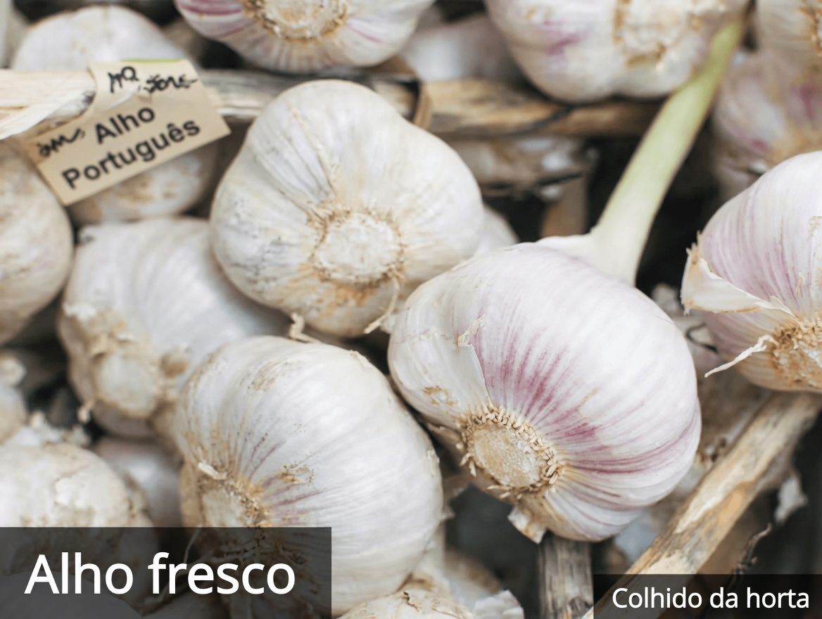 Descubra 6 Ervas Poderosas Que Podem Ajudar a Melhorar Sua Saúde Naturalmente com Dicas Fáceis para o Dia a Dia