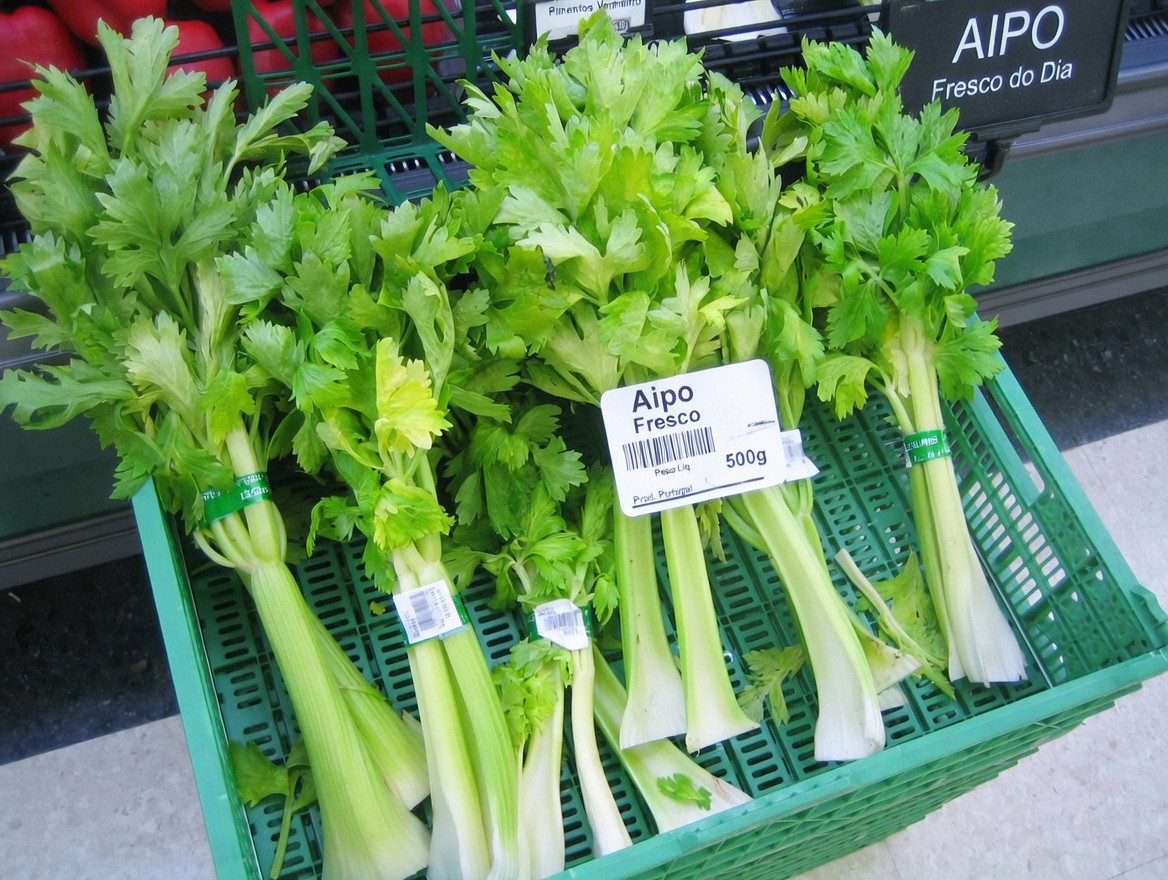 Idosos descobrem os 7 alimentos que o Dr. Norman Walker incluía diariamente em sua rotina para um envelhecimento vibrante