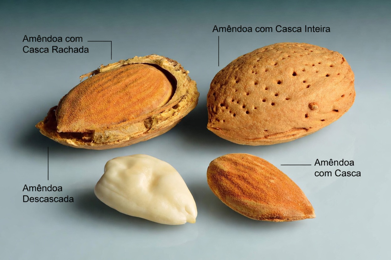 Creatinina Alta Demais? Evite Estas 3 Nozes na Sua Dieta e Experimente Sementes de Linhaça em Vez Delas para o Bem-Estar Diário