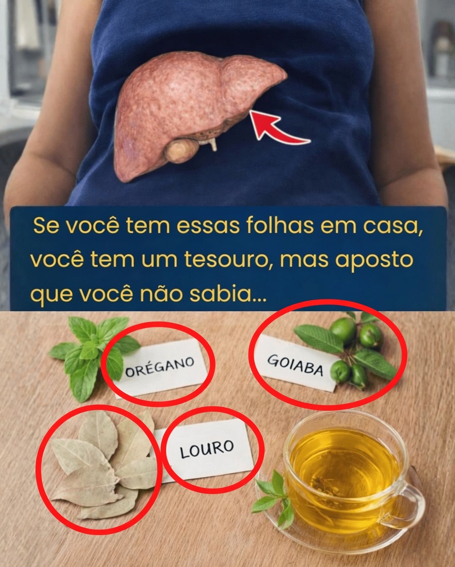 3 folhas comuns que você tem em casa e que podem ajudar a apoiar naturalmente o fígado e a função biliar