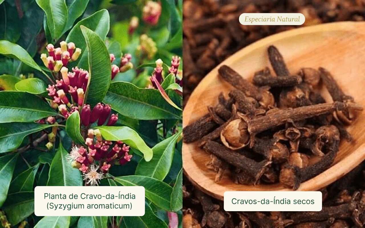 O que acontece com o seu corpo quando você come 2 dentes de alho todos os dias por 7 dias