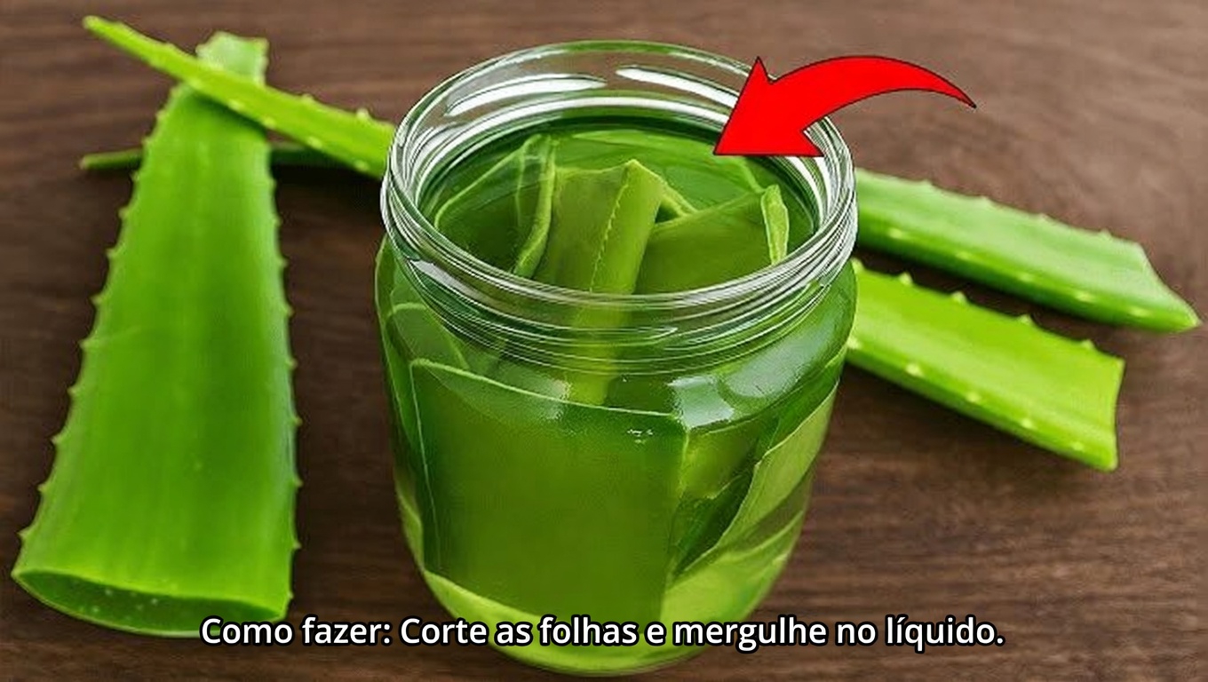 Descubra o Truque Japonês da Aloe Vera para uma Pele Mais Macia e Hidratada em Qualquer Idade