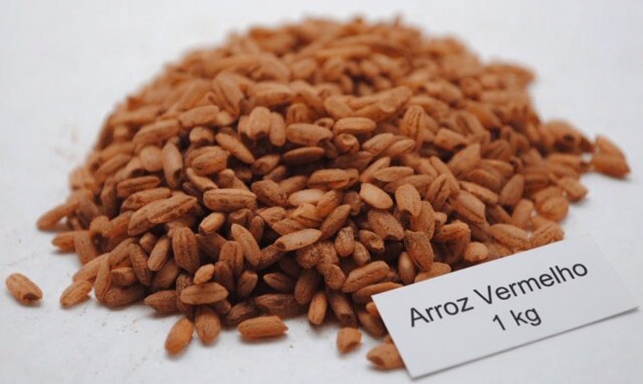 Os 3 melhores tipos de arroz que se encaixam perfeitamente em uma dieta amiga dos rins: escolhas simples e dicas de preparo