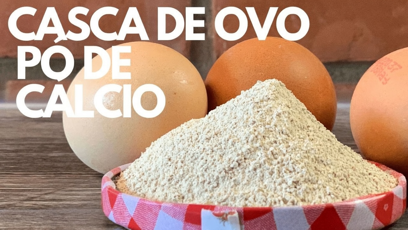 Como Fazer Pó de Casca de Ovo Caseiro em Casa: Receita Simples para um Impulso Natural de Colágeno e Cálcio