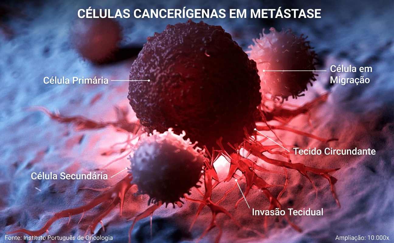 Por que o fenbendazol está em alta nas conversas sobre câncer: o que a série de casos retratada e os especialistas querem que você saiba