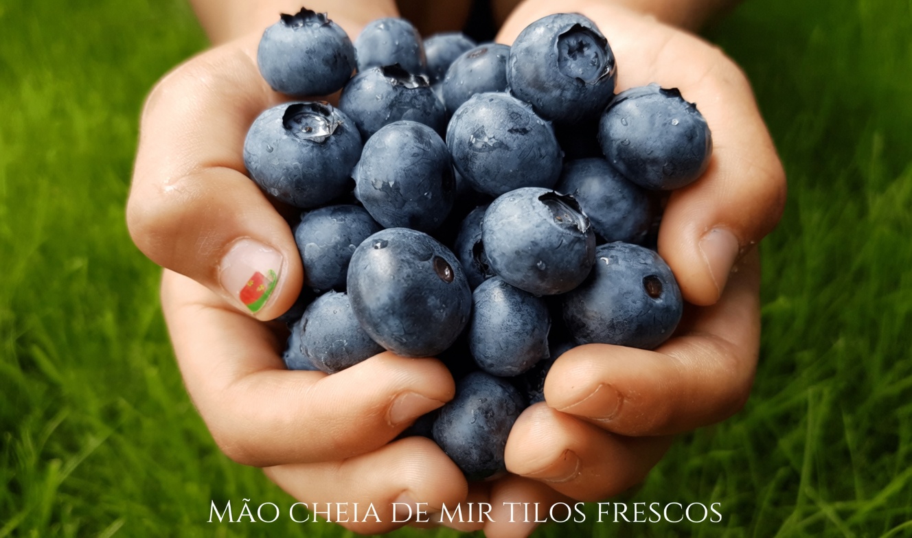 Explore 5 frutas doces que se encaixam bem na sua rotina para controlar os níveis de açúcar no sangue todos os dias