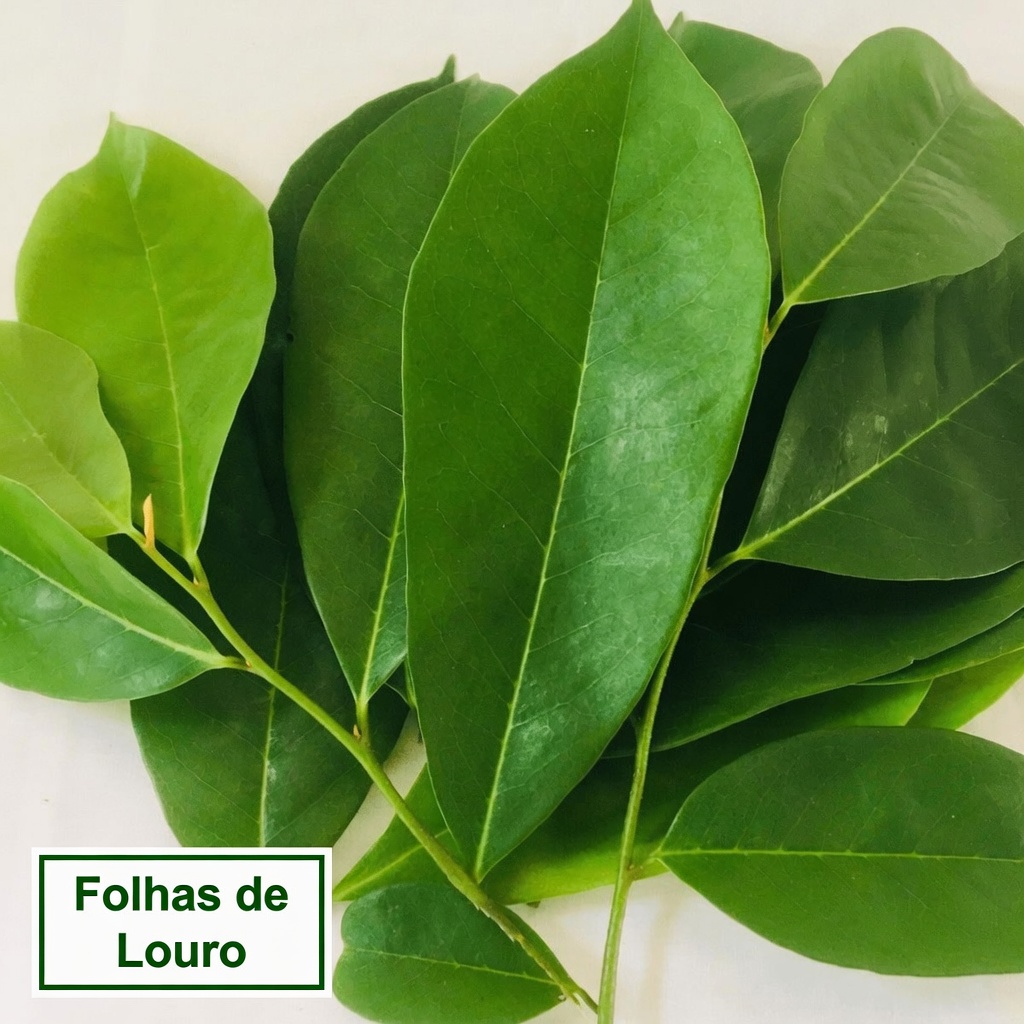 Como os Homens Podem Apoiar a Saúde da Próstata Naturalmente com Hábitos Diários Simples e Remédios Herbais Tradicionais