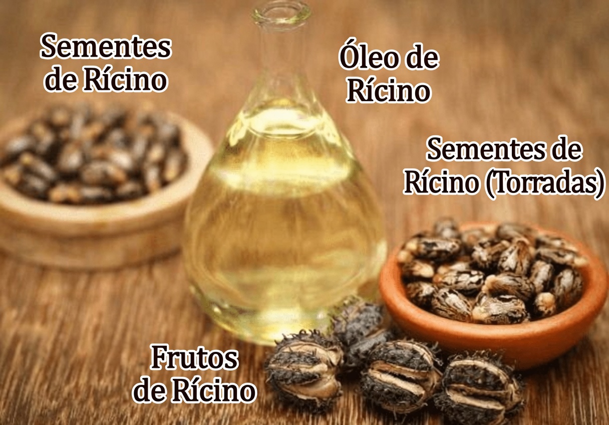 A Rotina de 2 Minutos com Óleo de Cozinha para Ajudar a Deixar a Pele Visivelmente Mais Macia em Apenas 4 Semanas