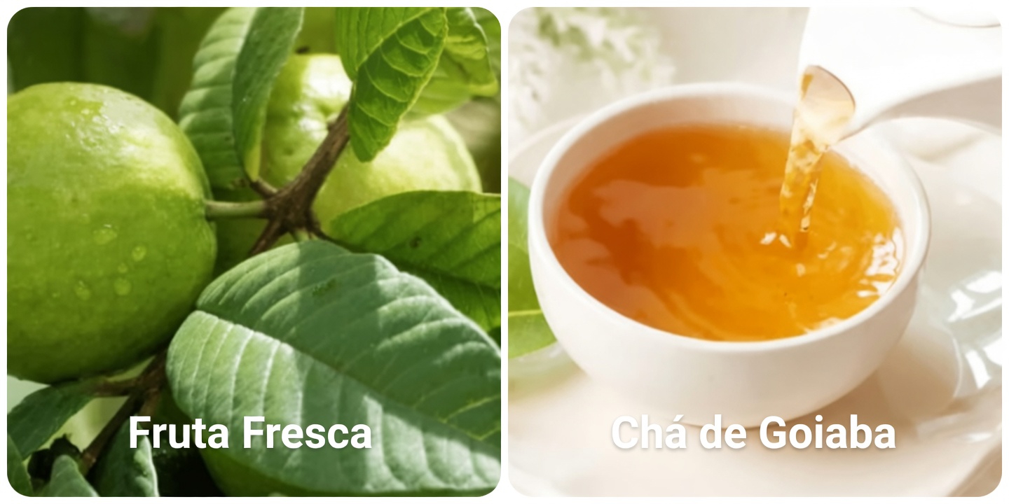 Chá de Folha de Goiaba: Explorando Usos Tradicionais e o que a Pesquisa Diz sobre Seu Potencial para o Bem-Estar