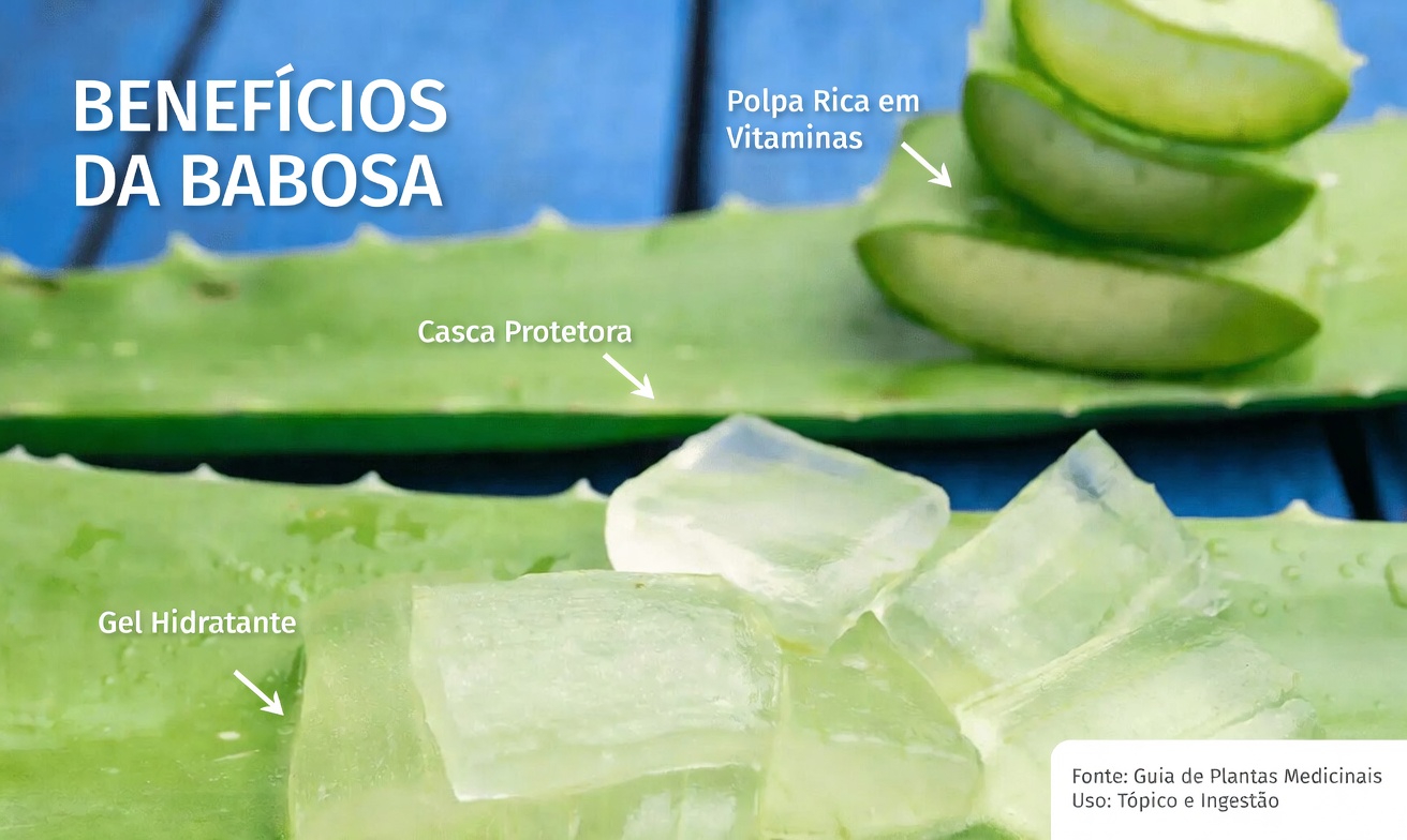 Beba Este Copo: Uma Mistura Natural Suave Que Pode Ajudar a Promover a Saúde do Cólon e a Regularidade