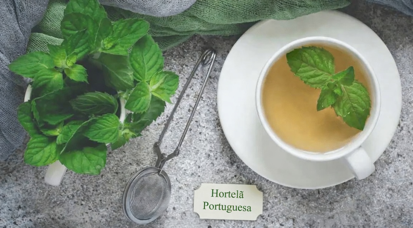 O Ladrão Silencioso: 12 Maneiras Cotidianas pelas Quais a Hortelã-Pimenta Pode Ajudar a Apoiar Artérias Mais Saudáveis e a Circulação Naturalmente