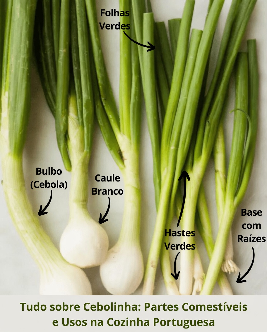 Descubra os 10 principais superalimentos que podem apoiar a função dos seus rins e promover naturalmente uma melhor saúde urinária