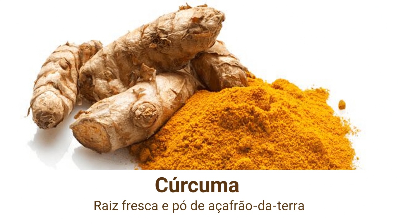 Descubra 6 Ervas Poderosas que Podem Apoiar Sua Saúde e Bem-Estar Naturalmente na Sua Rotina Diária