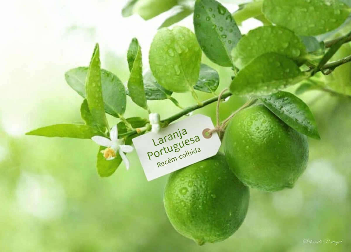 Como Preparar uma Receita Simples de Suco Natural com Melão-de-São-Caetano, Pepino, Lima e Cravo-da-Índia