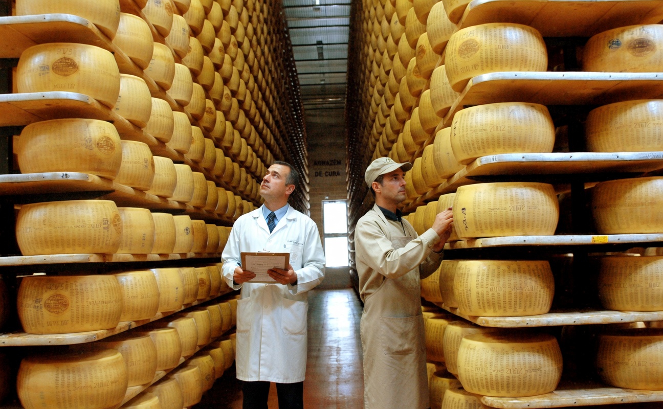 Descubra o queijo parmesão: uma opção rica em proteínas, com mais proteína do que os ovos, para apoiar a saúde muscular após os 60 anos