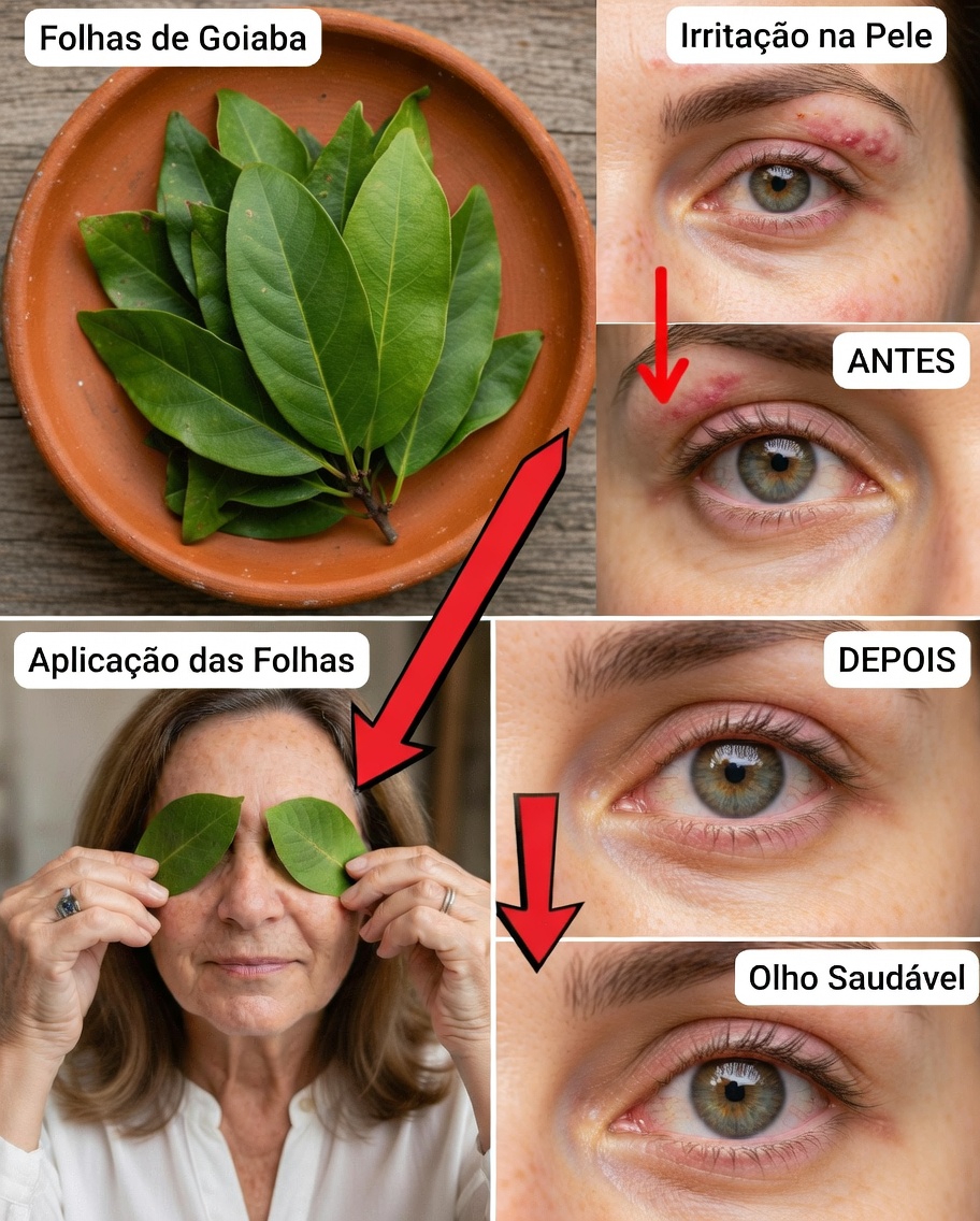 Como as folhas de goiaba podem apoiar a saúde dos seus olhos naturalmente? Descubra métodos simples e remédios caseiros