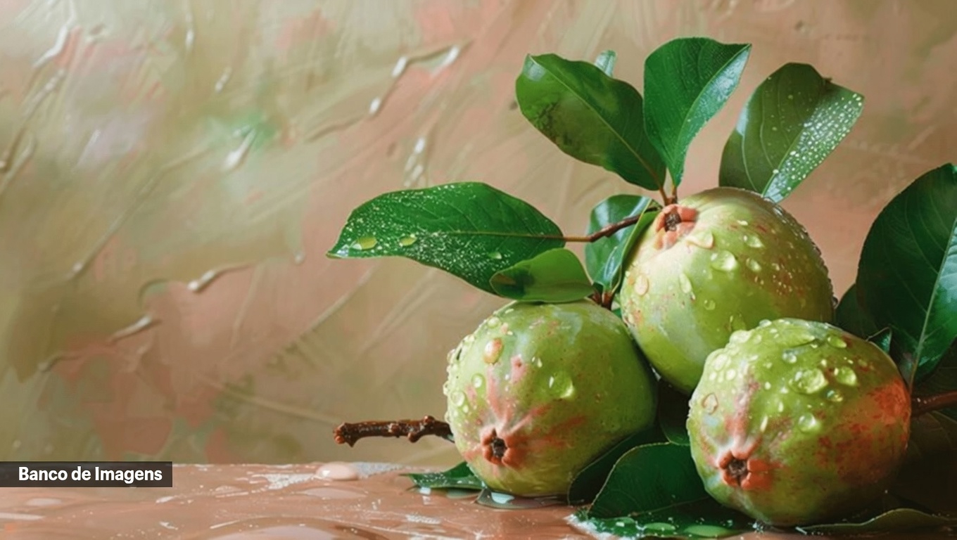 Descubra as 3 principais maneiras simples de incorporar folhas de goiaba à sua rotina de cuidados bucais – dicas caseiras econômicas