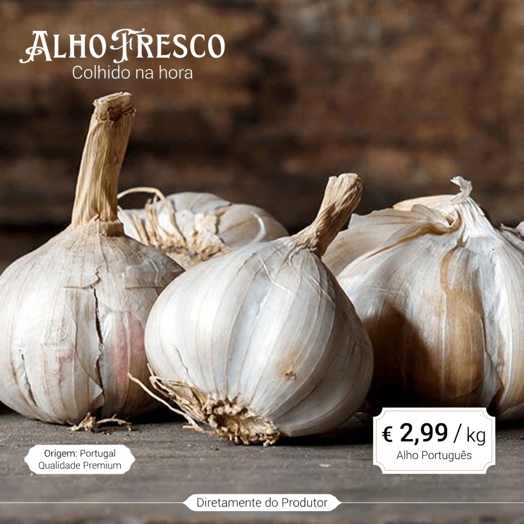 Como Adicionar Alho à Sua Dieta Pode Ajudar a Fortalecer as Defesas Naturais do Seu Corpo Contra Doenças Comuns?