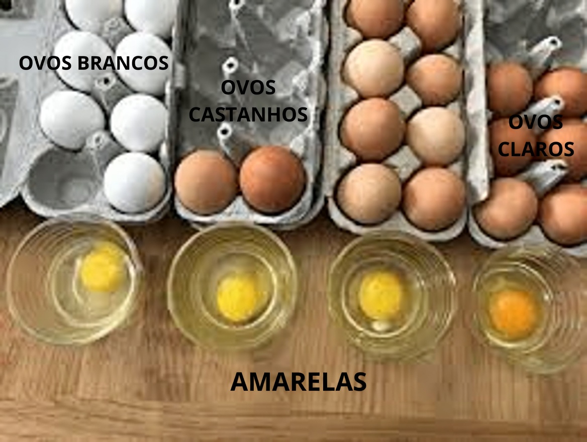 Passou dos 60? Coma ESTA Única Coisa Antes de Dormir e Acorde Enxergando Como se Tivesse 40