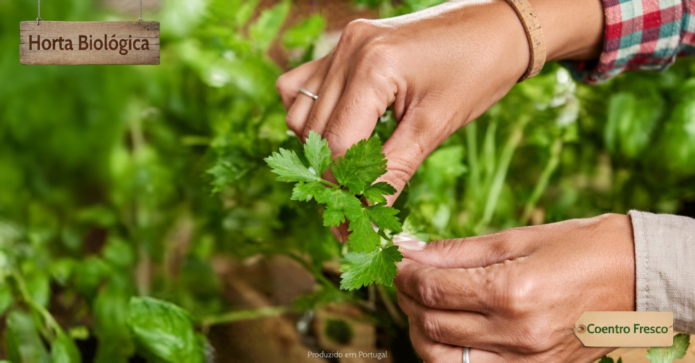 As 3 especiarias do dia a dia que podem ajudar a melhorar a saúde dos rins, eliminar toxinas e restaurar a energia naturalmente