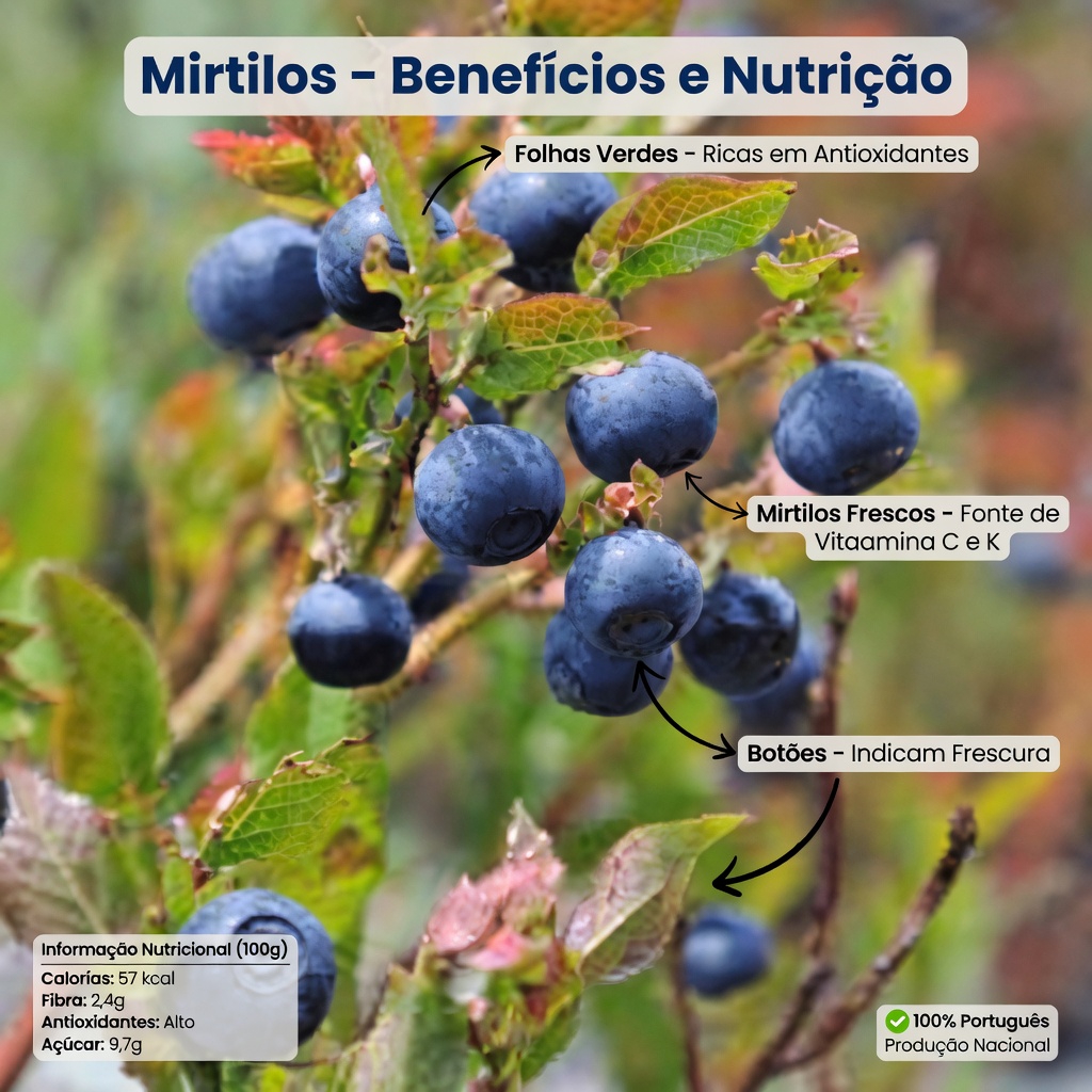 Evite Estes 8 Erros com Mirtilos que Idosos com Mais de 60 Anos Devem Conhecer (Médicos Compartilham Dicas Simples para um Consumo Mais Seguro)