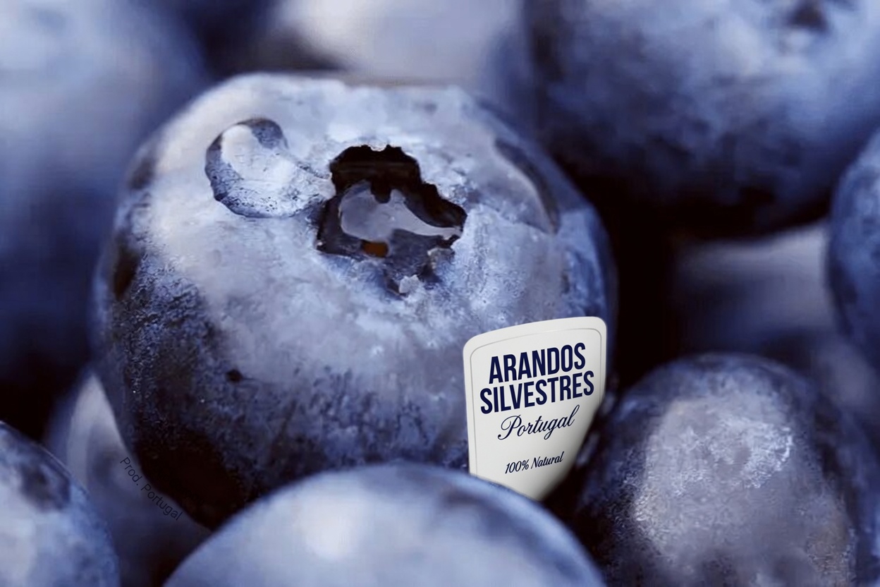 Descubra 9 frutas do dia a dia que podem apoiar naturalmente a saúde da tireoide e aumentar sua energia diária