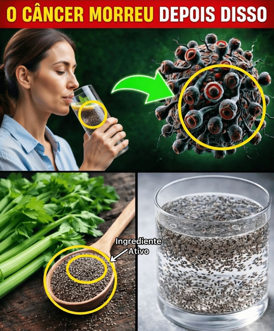 O câncer tem medo destes alimentos: descubra as 16 principais opções à base de plantas que podem ajudar na prevenção do câncer