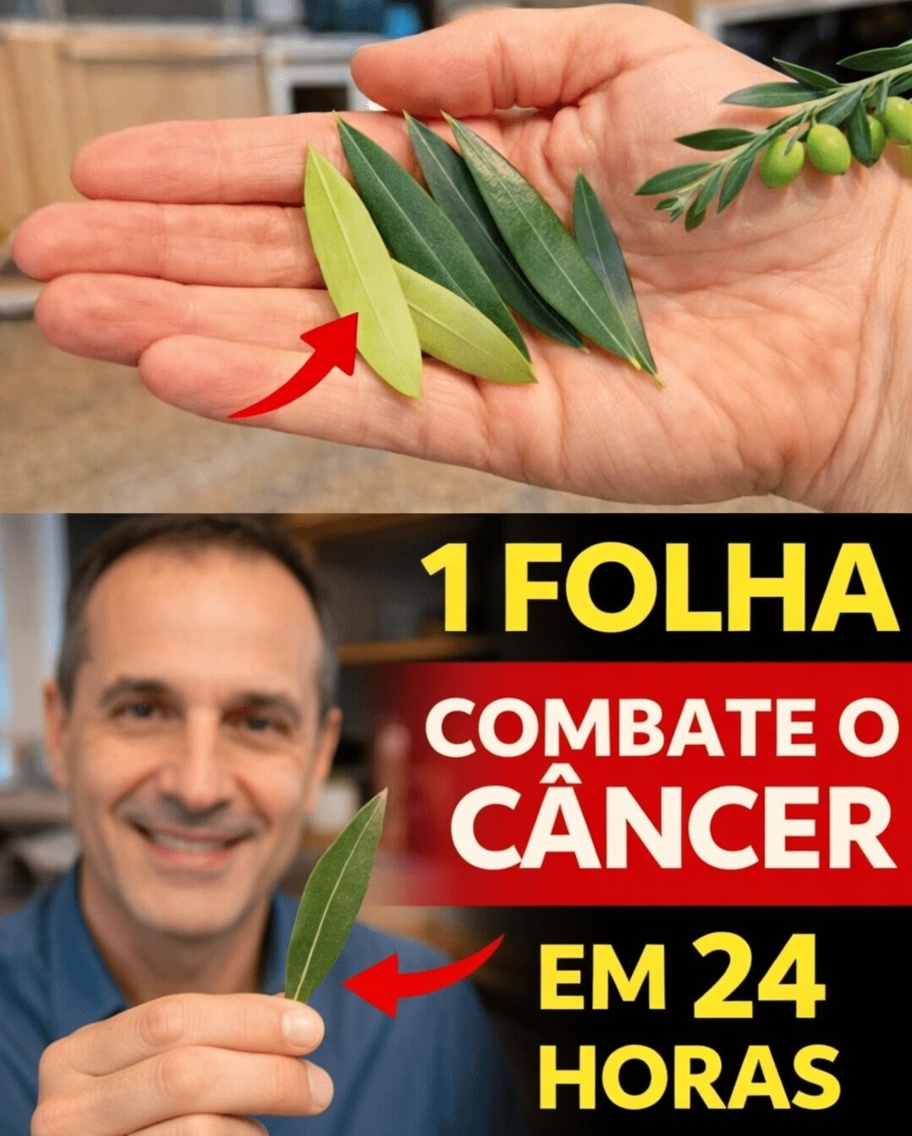 A Folha de Que Todos Estão Falando: Explorando as Folhas Milagrosas e Seu Potencial Papel no Bem-Estar