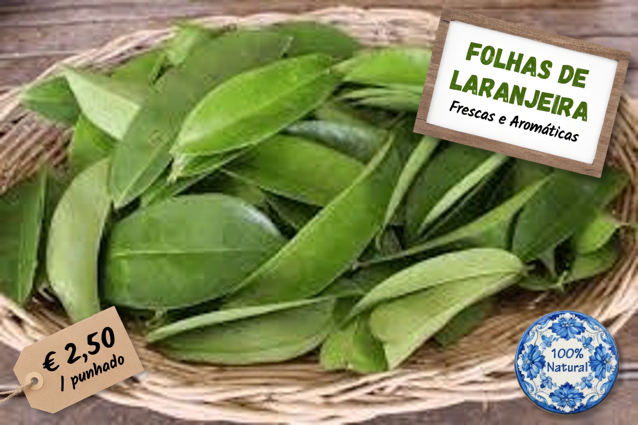 A Folha de Que Todos Estão Falando: Explorando as Folhas Milagrosas e Seu Potencial Papel no Bem-Estar