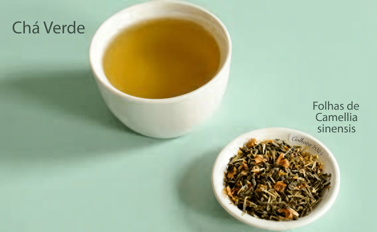 Os 6 Melhores Chás Matinais para Eliminar Toxinas e Restaurar Rapidamente a Função Renal