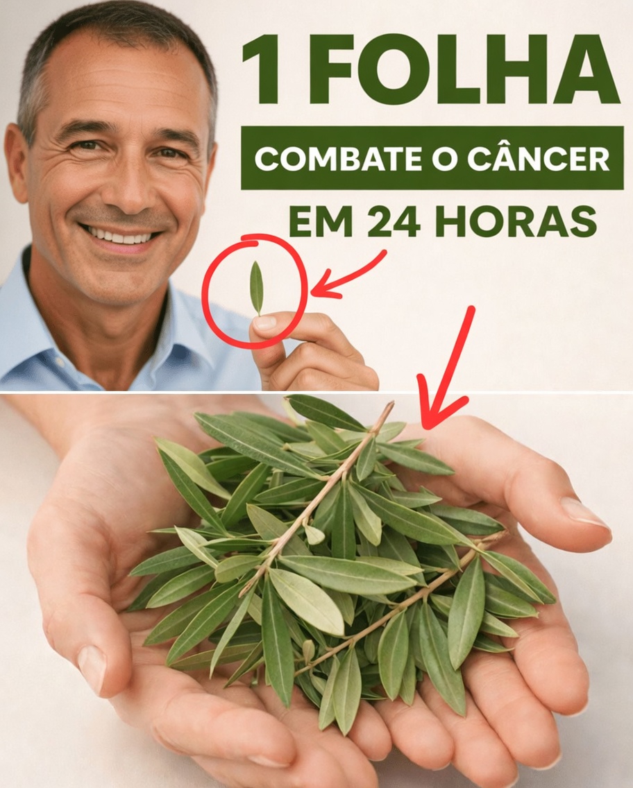 A folha de que todos estão falando: explorando as folhas de graviola e seu potencial papel no bem-estar