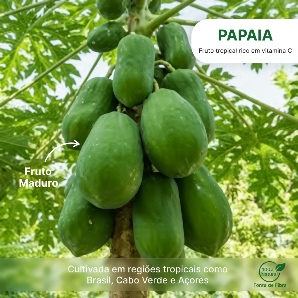 Descubra 9 benefícios ocultos da seiva leitosa do mamão que você está perdendo para um melhor bem-estar diário