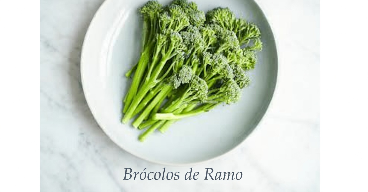 Os 5 Vegetais que Todo Idoso Deve Comer para BAIXAR a Pressão Arterial Naturalmente